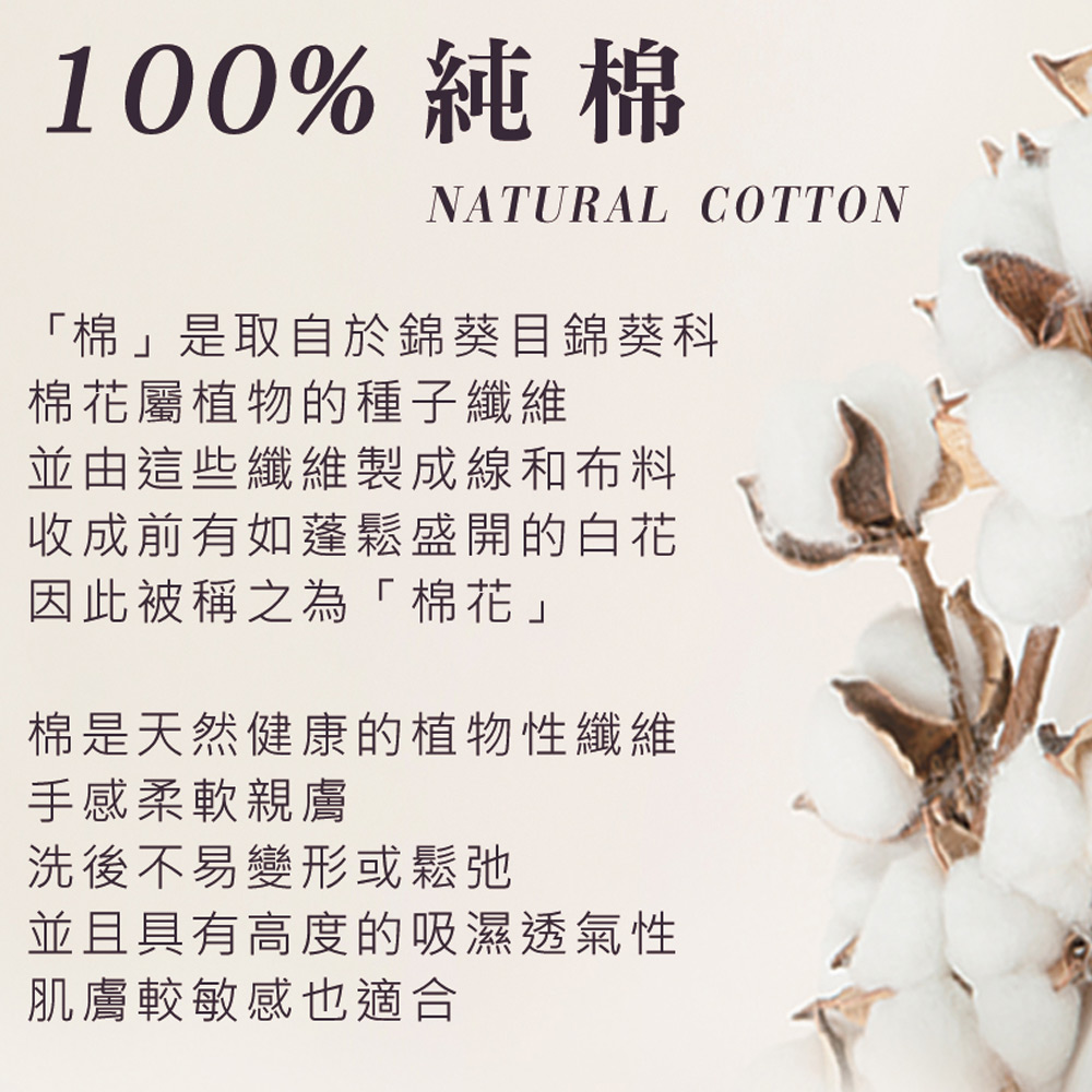 舒柔棉 無痕中腰貼身褲 3件組(隨機色)