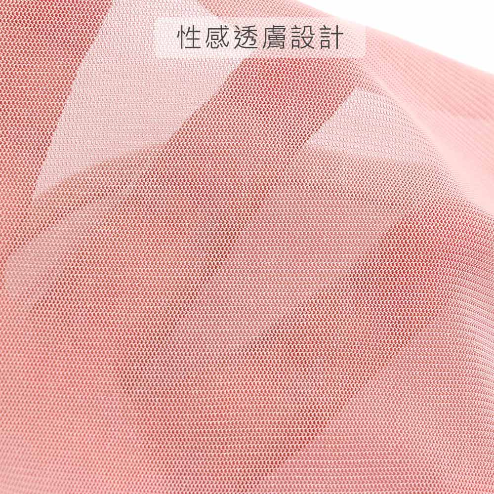 石墨烯 性感透膚 高腰網紗三角褲 3件組(隨機色) 加大碼