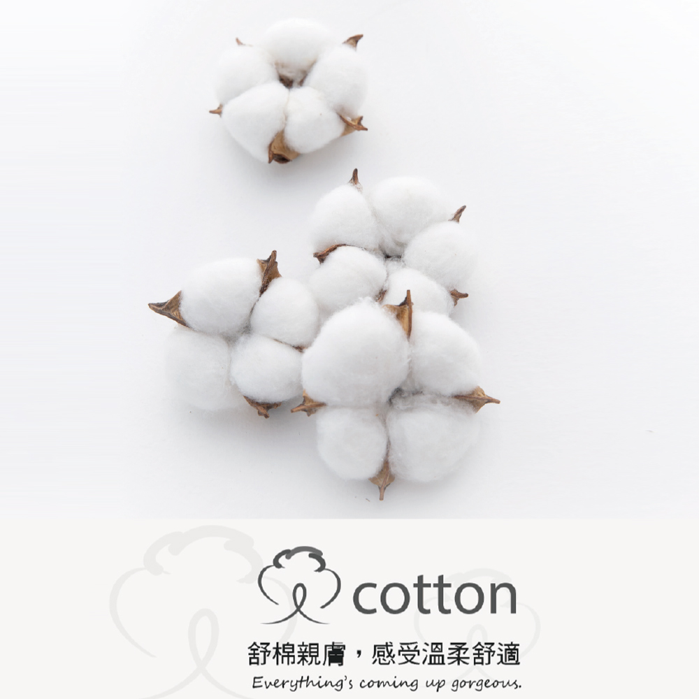 低腰 輕透冰氧絲涼感無痕面膜褲(隨機色)《有分尺寸》