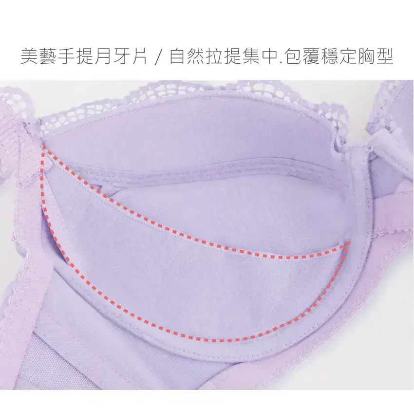 膠原蛋白 水肌保養機能內衣BCDE罩杯(紫繡球)