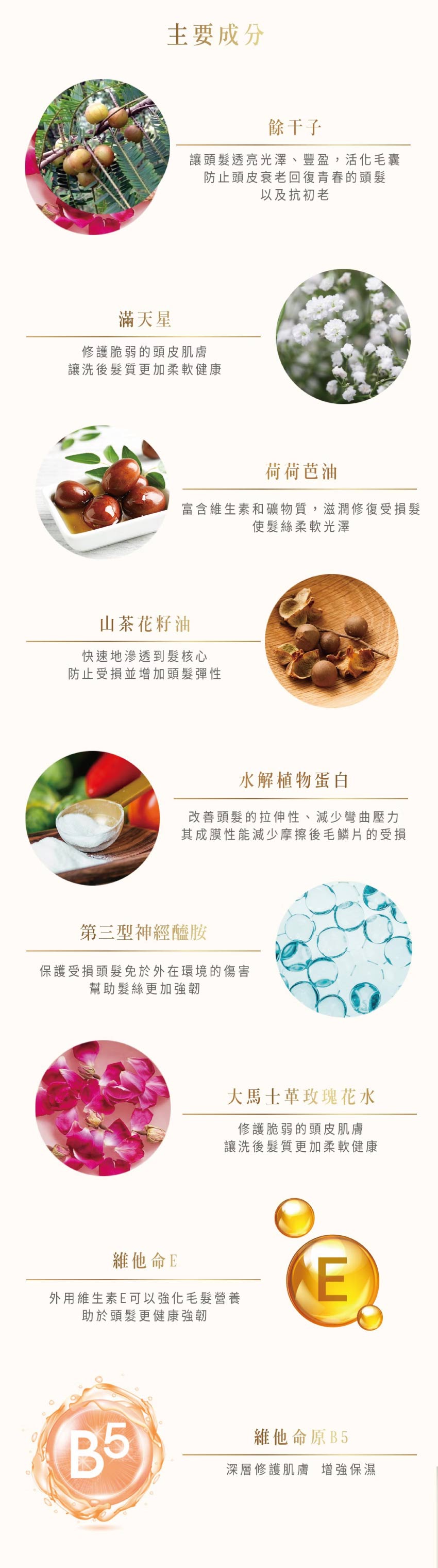 小白黃 SPA級香水修復護髮素-法式優雅 450ml