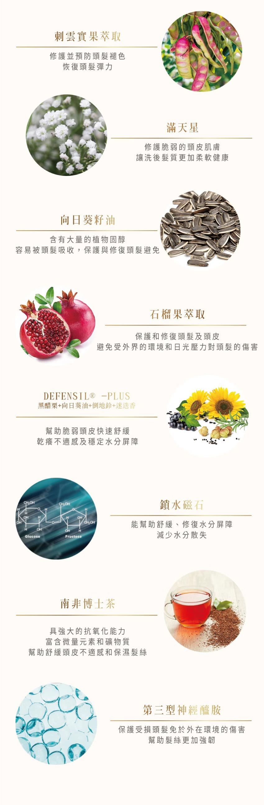 小巴黎 小紫 SPA香氛 護色賦活 洗髮精 淡雅晚香 450ml