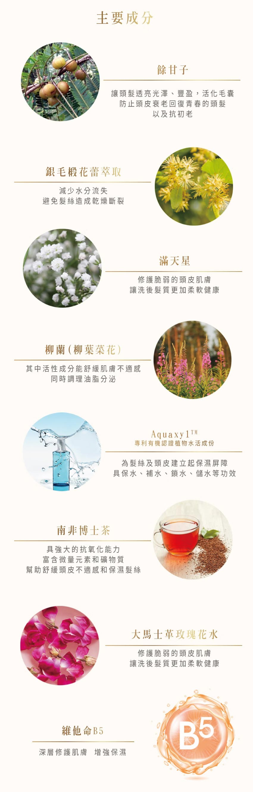 小白粉 SPA級香水修復護髮素-莓果花香 450ml