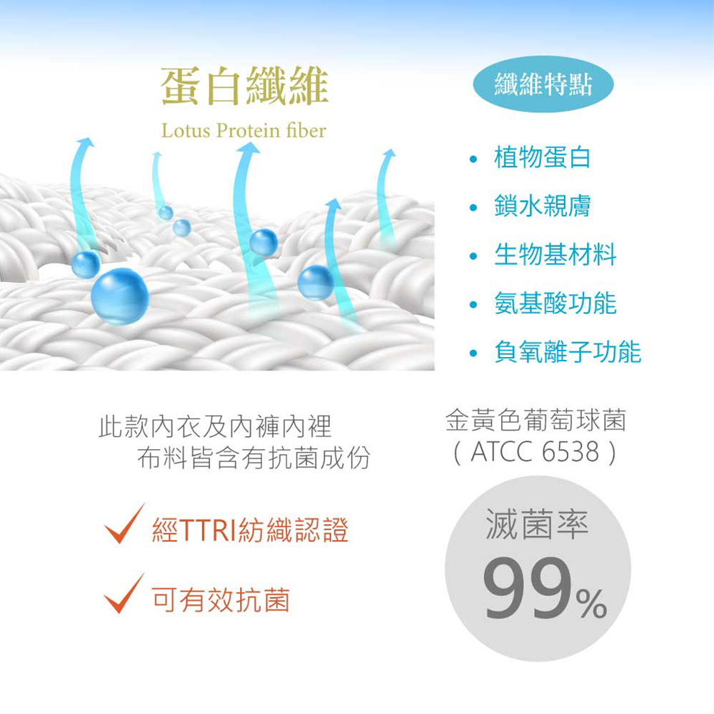 無縫舒柔 抗菌蛋白 貼身褲(黑)
