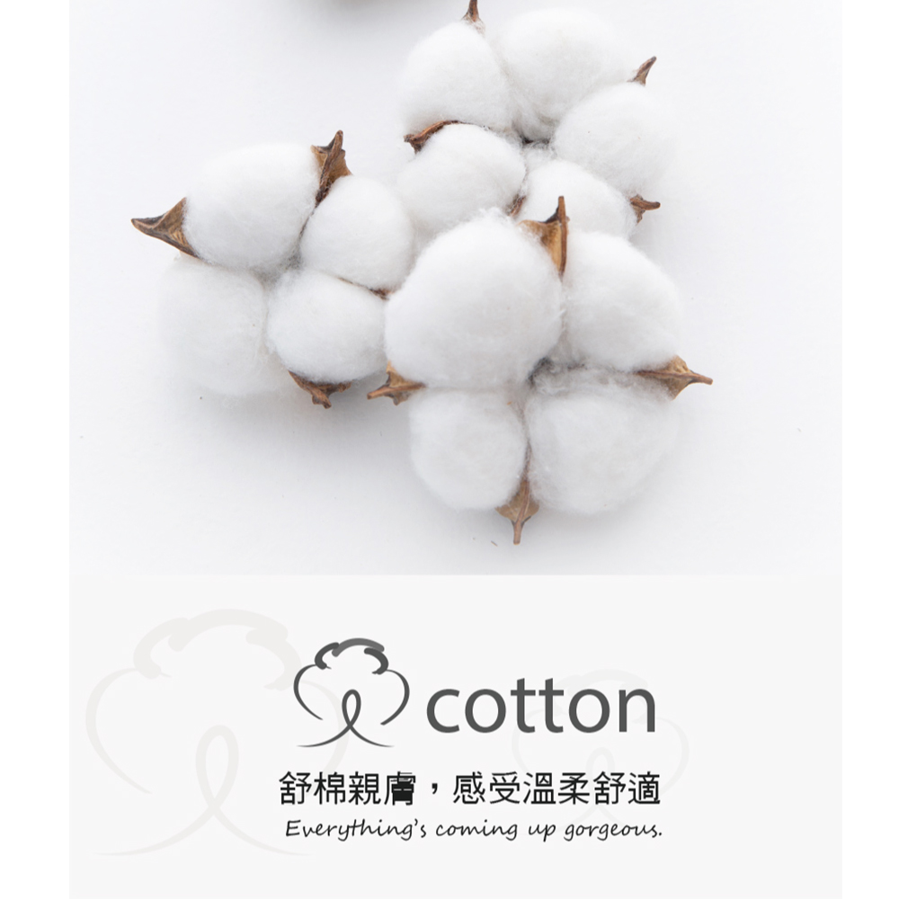低腰 聚乳酸 蠶絲無痕棉質三角褲 3件組(隨機色)