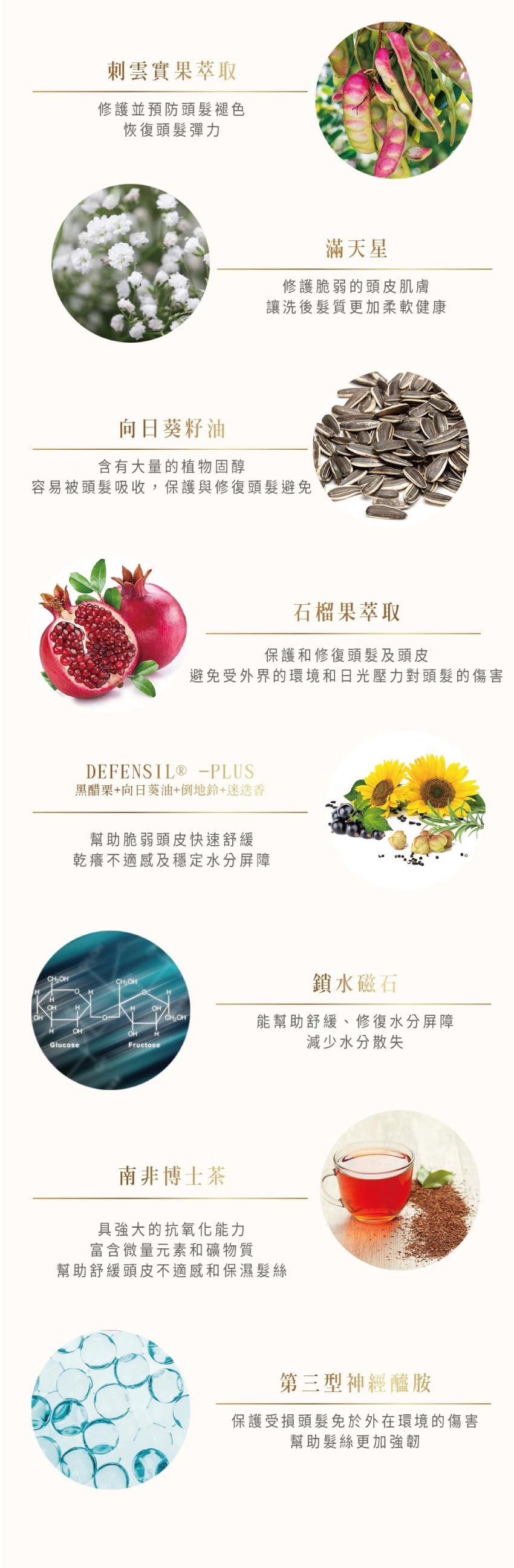 小棕 SPA香氛 護色賦活 洗髮精 清新晨香 450ml