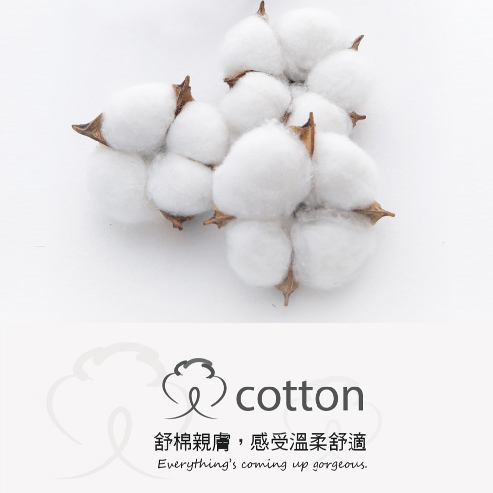 素面 高腰棉質貼身褲 3件組(隨機色) 加大碼