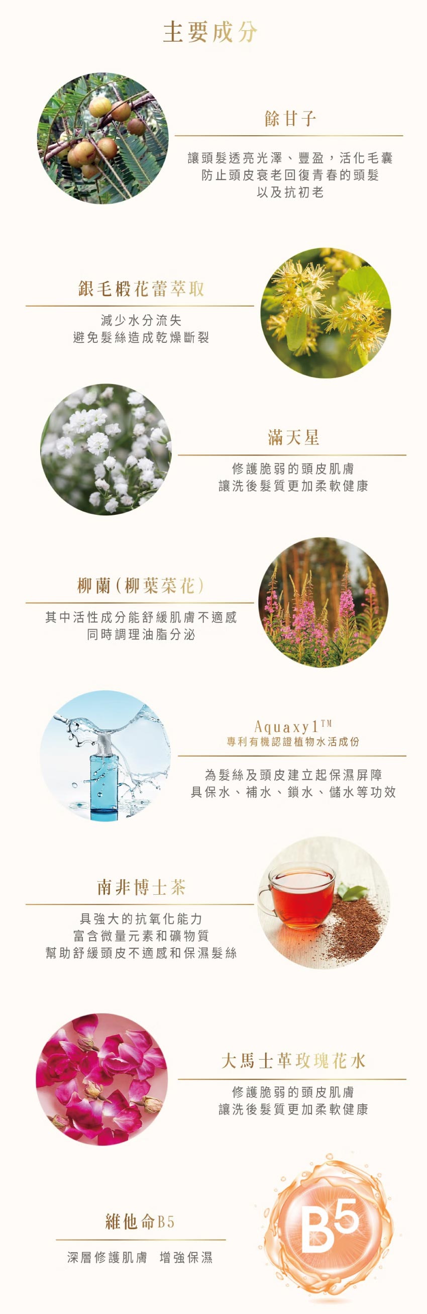 小粉 SPA香氛水潤養護洗髮精 莓果花香 450ml