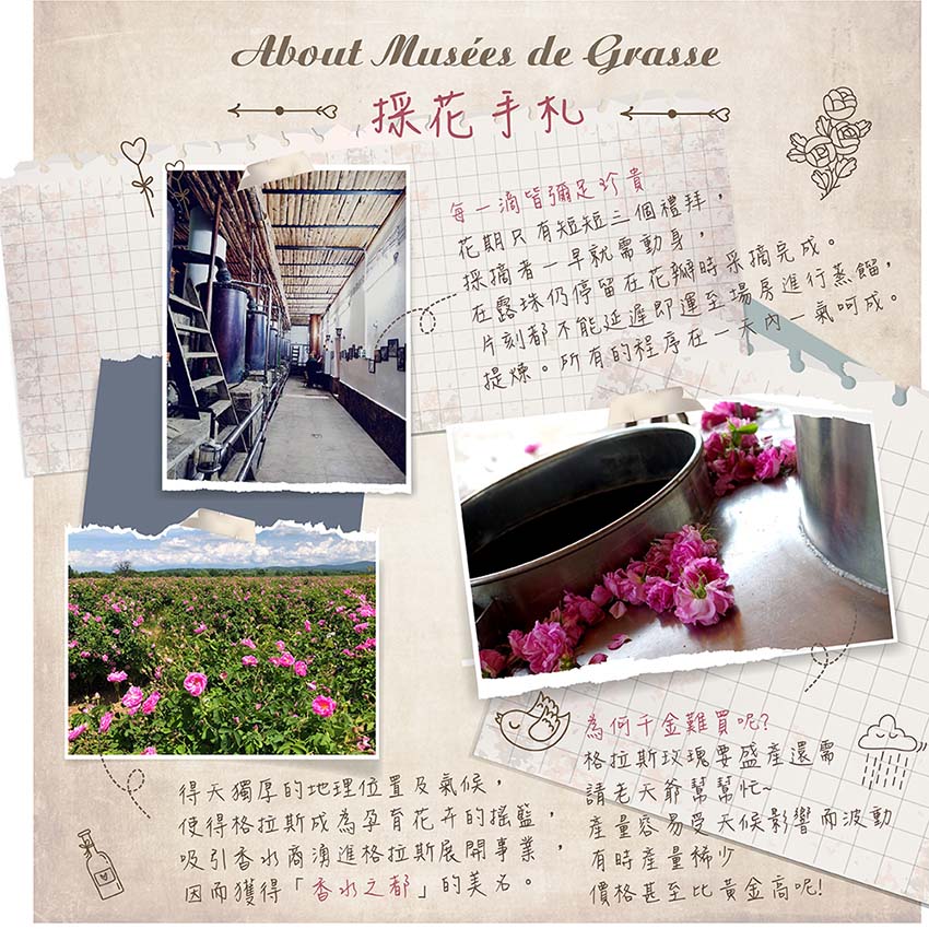 涼感玫瑰私密噴霧 | 淨味抑菌，清新舒適 | 私密保養系列