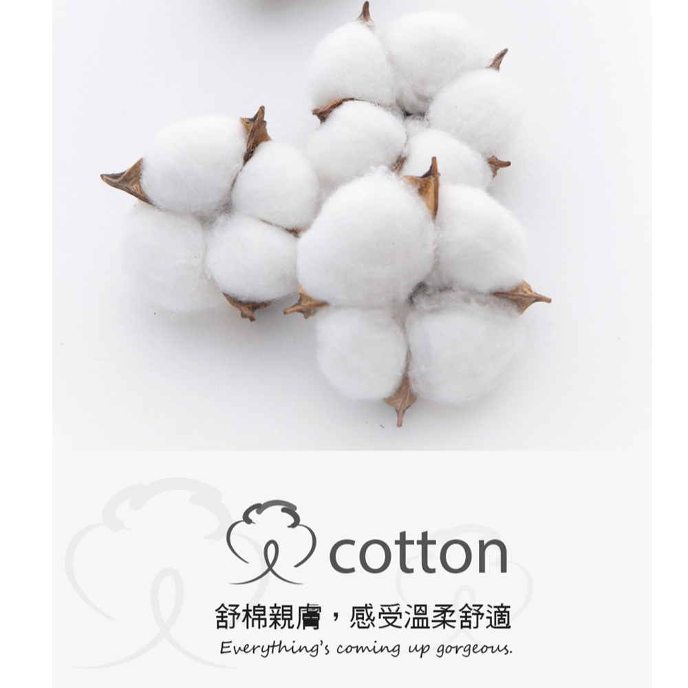 CAT萌喵 低腰純棉貼身褲 3件組(隨機色)