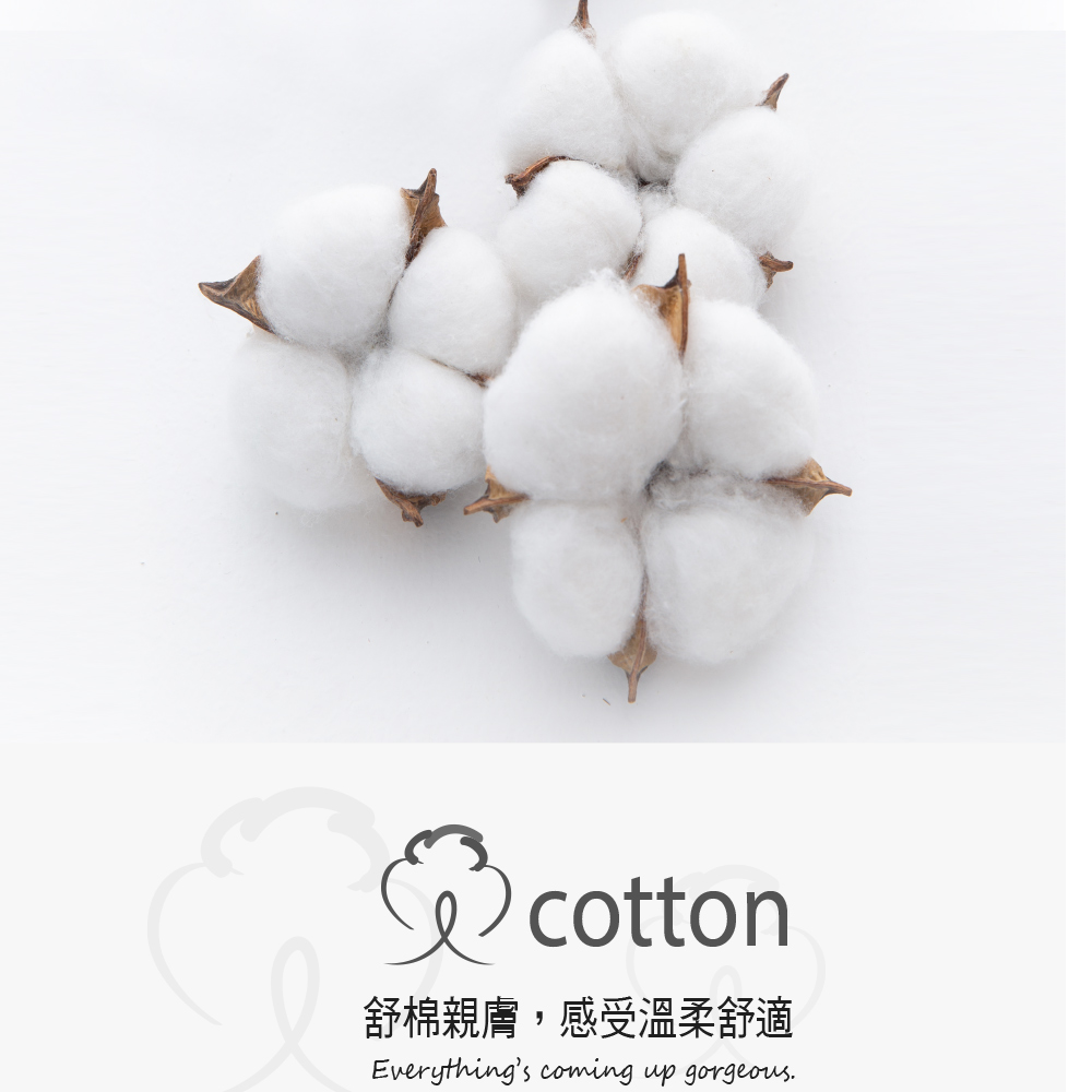 萌寵小豬 棉質貼身褲 3件組(隨機色)